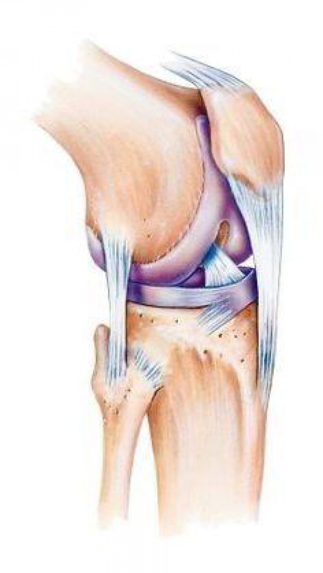 Terapia Sportiva | Clinica de scolioza Müller